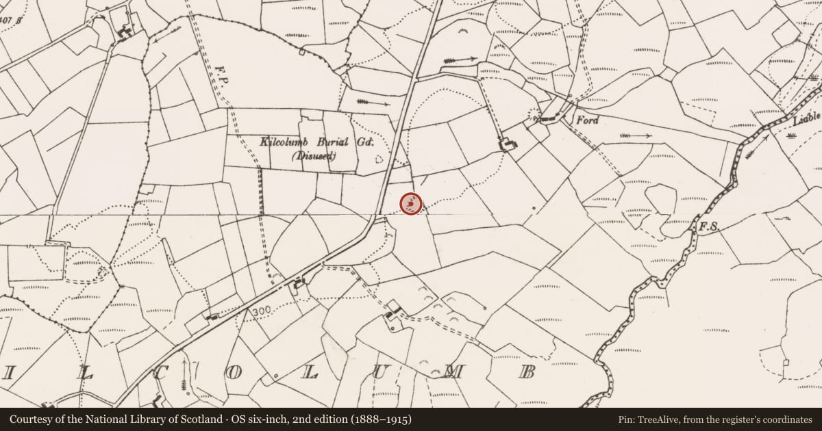 Ordnance Survey six-inch map, 2nd edition (1888–1915) covering the location of Ringfort - rath, Kilcolumb, County Clare, with a pin at the register's coordinates