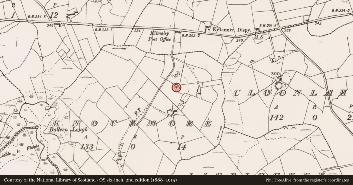 Ordnance Survey six-inch map, 2nd edition (1888–1915) covering the location of Ringfort - rath, Knockmore, County Clare, with a pin at the register's coordinates