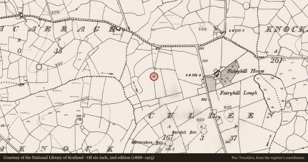 Ordnance Survey six-inch map, 2nd edition (1888–1915) covering the location of Ringfort - rath, Culleen, County Clare, with a pin at the register's coordinates