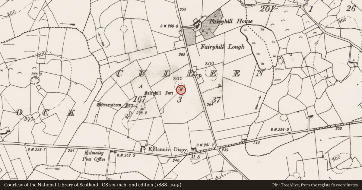 Ordnance Survey six-inch map, 2nd edition (1888–1915) covering the location of Ringfort - rath, Culleen, County Clare, with a pin at the register's coordinates