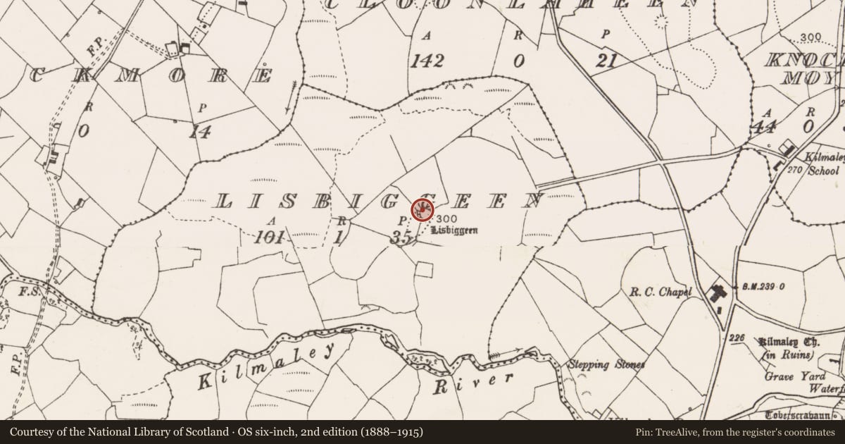 Ordnance Survey six-inch map, 2nd edition (1888–1915) covering the location of Ringfort - rath, Lisbiggeen, County Clare, with a pin at the register's coordinates