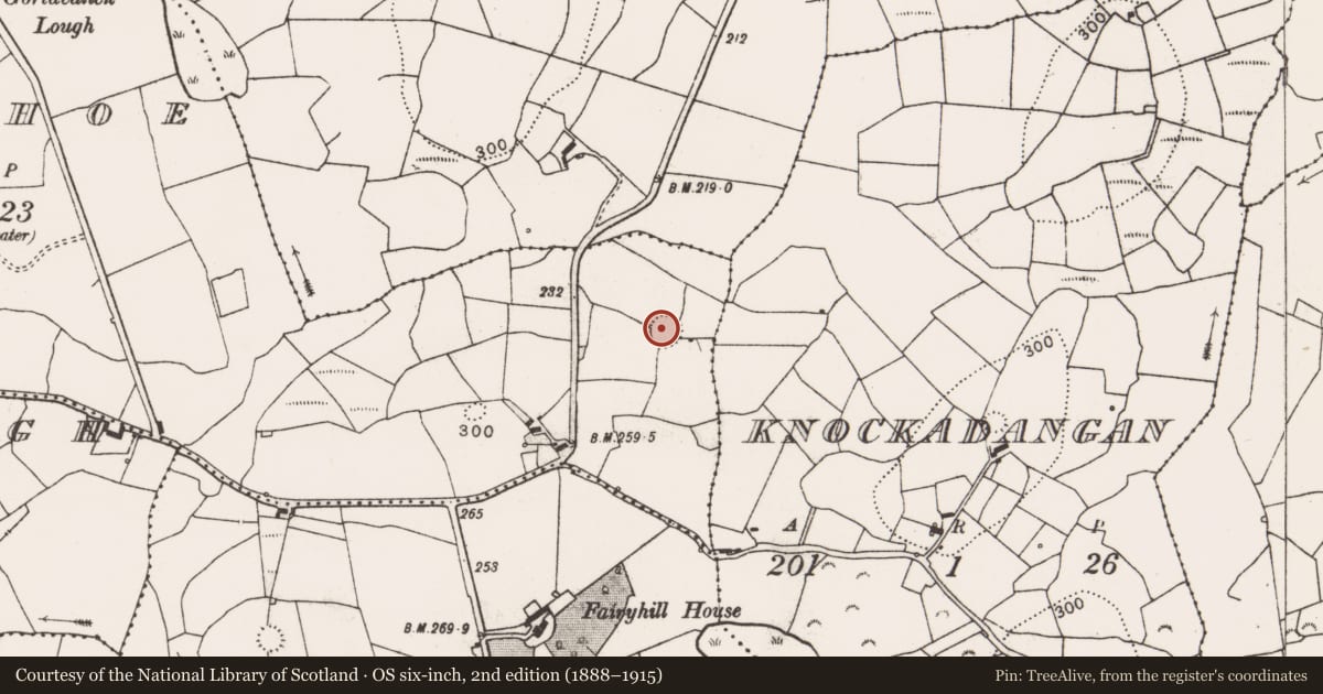 Ordnance Survey six-inch map, 2nd edition (1888–1915) covering the location of Ringfort - rath, Ballydonohoe, County Clare, with a pin at the register's coordinates