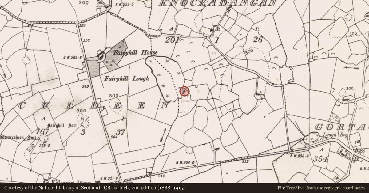 Ordnance Survey six-inch map, 2nd edition (1888–1915) covering the location of Earthwork, Knockadangan, County Clare, with a pin at the register's coordinates