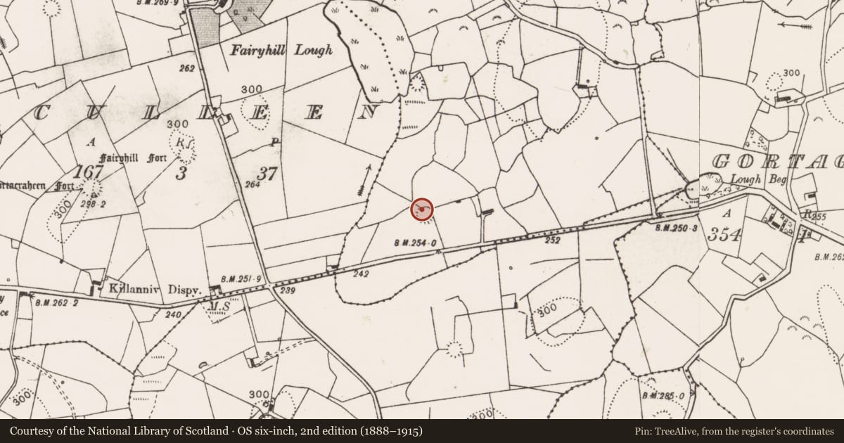 Ordnance Survey six-inch map, 2nd edition (1888–1915) covering the location of Ringfort - rath, Knockadangan, County Clare, with a pin at the register's coordinates