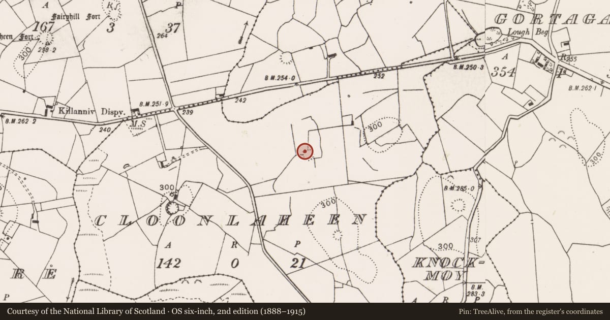 Ordnance Survey six-inch map, 2nd edition (1888–1915) covering the location of Ringfort - rath, Cloonlaheen, County Clare, with a pin at the register's coordinates