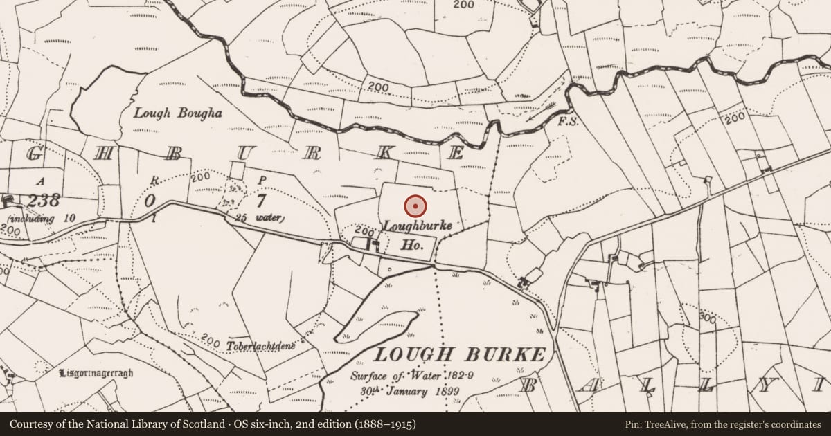Ordnance Survey six-inch map, 2nd edition (1888–1915) covering the location of Fulacht fia, Loughburke, County Clare, with a pin at the register's coordinates