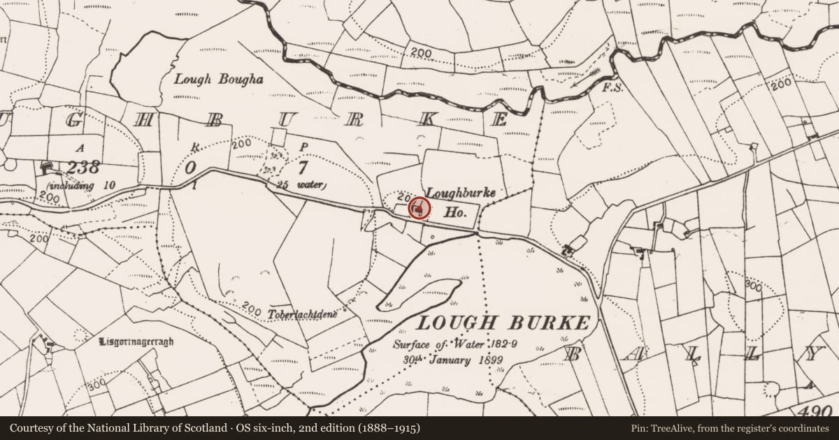 Ordnance Survey six-inch map, 2nd edition (1888–1915) covering the location of House - 18th/19th century, Loughburke, County Clare, with a pin at the register's coordinates