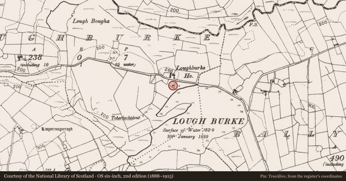 Ordnance Survey six-inch map, 2nd edition (1888–1915) covering the location of Kiln, Loughburke, County Clare, with a pin at the register's coordinates