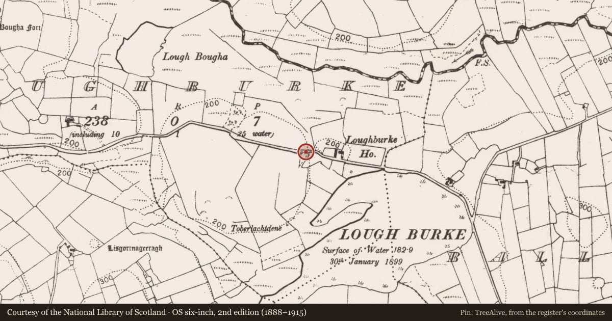 Ordnance Survey six-inch map, 2nd edition (1888–1915) covering the location of Kiln - lime, Loughburke, County Clare, with a pin at the register's coordinates