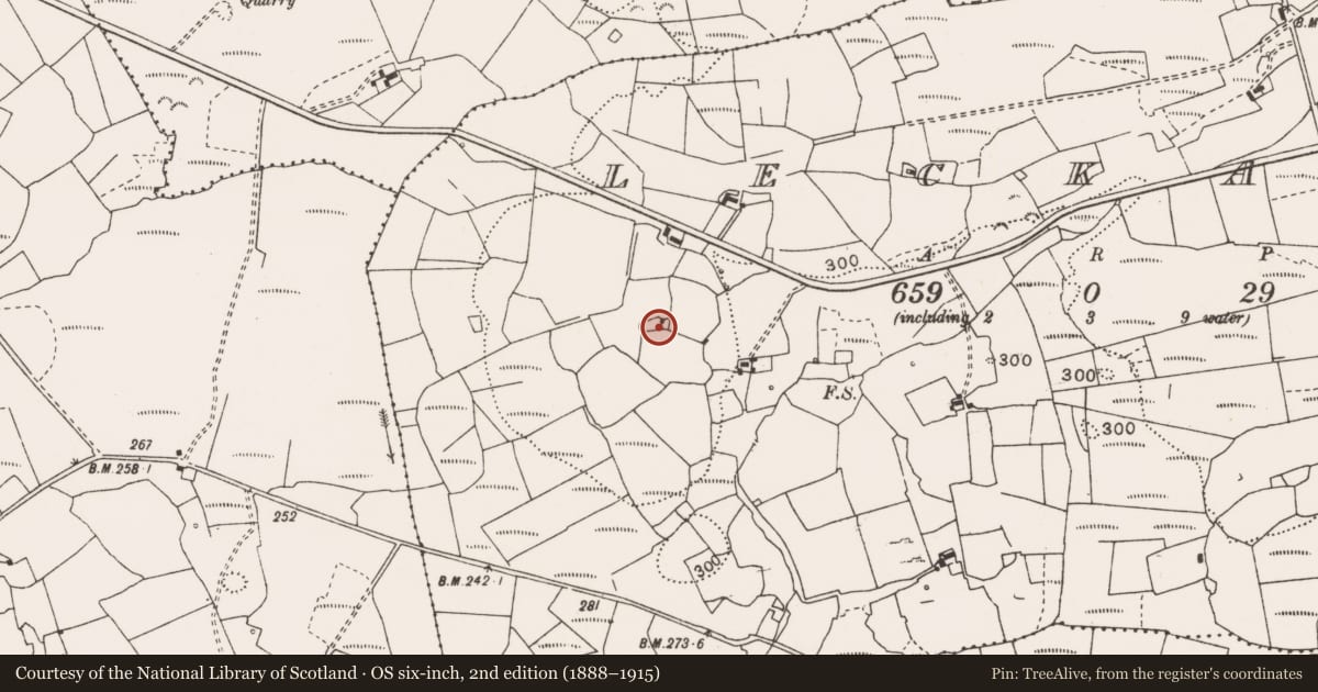 Ordnance Survey six-inch map, 2nd edition (1888–1915) covering the location of Children's burial ground, Leckaun, County Clare, with a pin at the register's coordinates