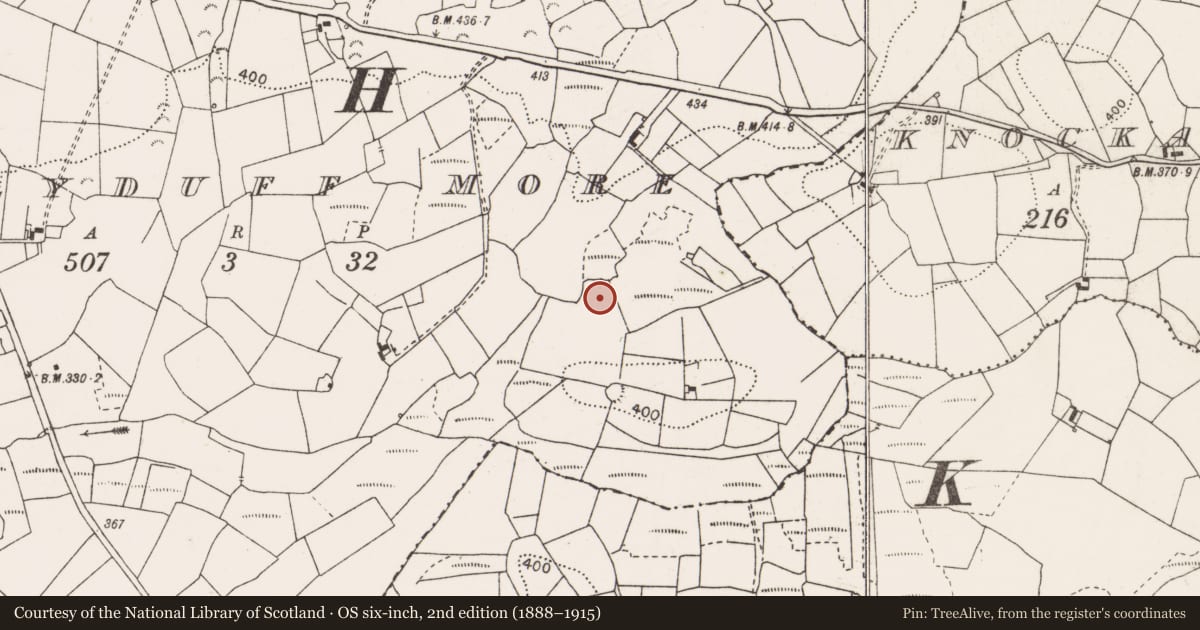 Ordnance Survey six-inch map, 2nd edition (1888–1915) covering the location of Quarry, Ballyduff More, County Clare, with a pin at the register's coordinates