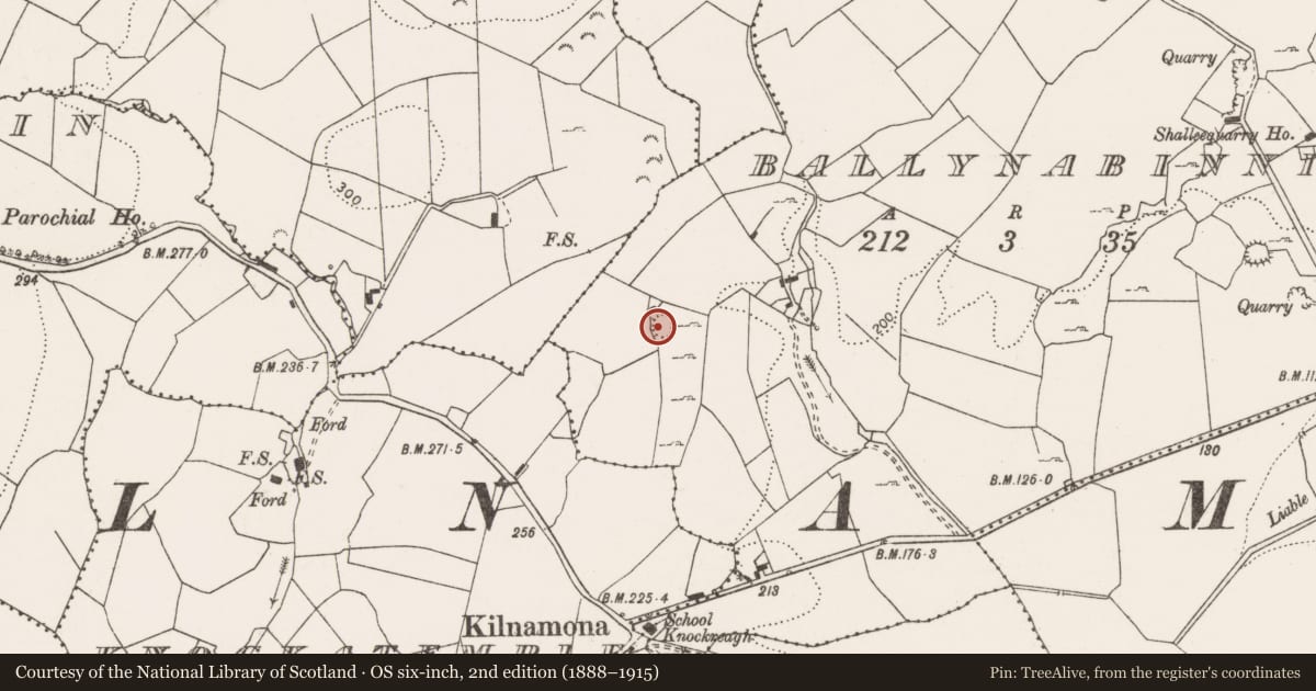 Ordnance Survey six-inch map, 2nd edition (1888–1915) covering the location of Ringfort - rath, Ballynabinnia, County Clare, with a pin at the register's coordinates
