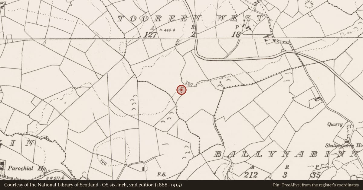 Ordnance Survey six-inch map, 2nd edition (1888–1915) covering the location of Ringfort - rath, Tooreen West, County Clare, with a pin at the register's coordinates