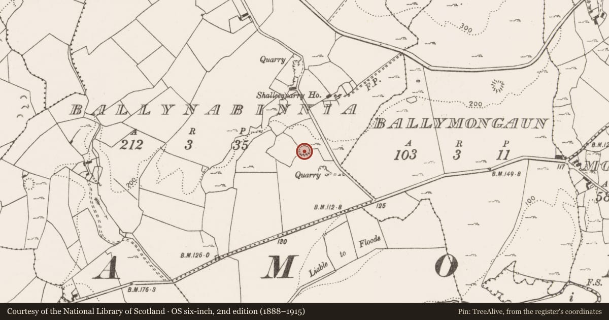 Ordnance Survey six-inch map, 2nd edition (1888–1915) covering the location of Ringfort - cashel, Ballynabinnia, County Clare, with a pin at the register's coordinates