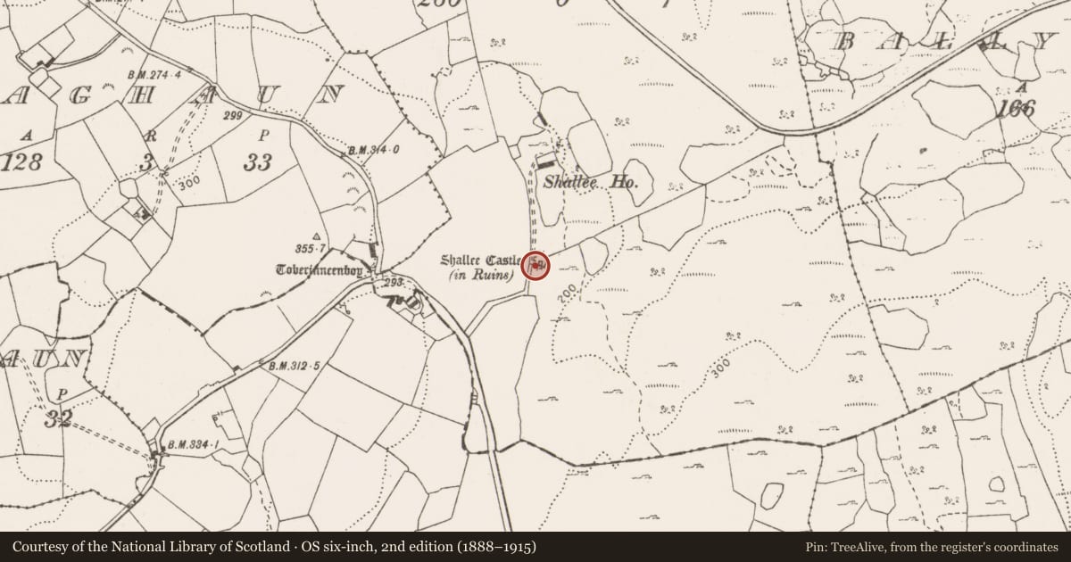 Ordnance Survey six-inch map, 2nd edition (1888–1915) covering the location of Castle - tower house, Shallee, County Clare, with a pin at the register's coordinates