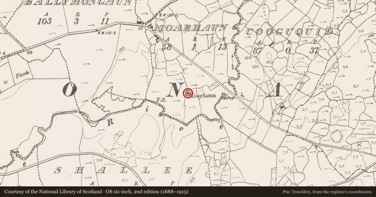 Ordnance Survey six-inch map, 2nd edition (1888–1915) covering the location of Ringfort - cashel, Moarhaun, County Clare, with a pin at the register's coordinates