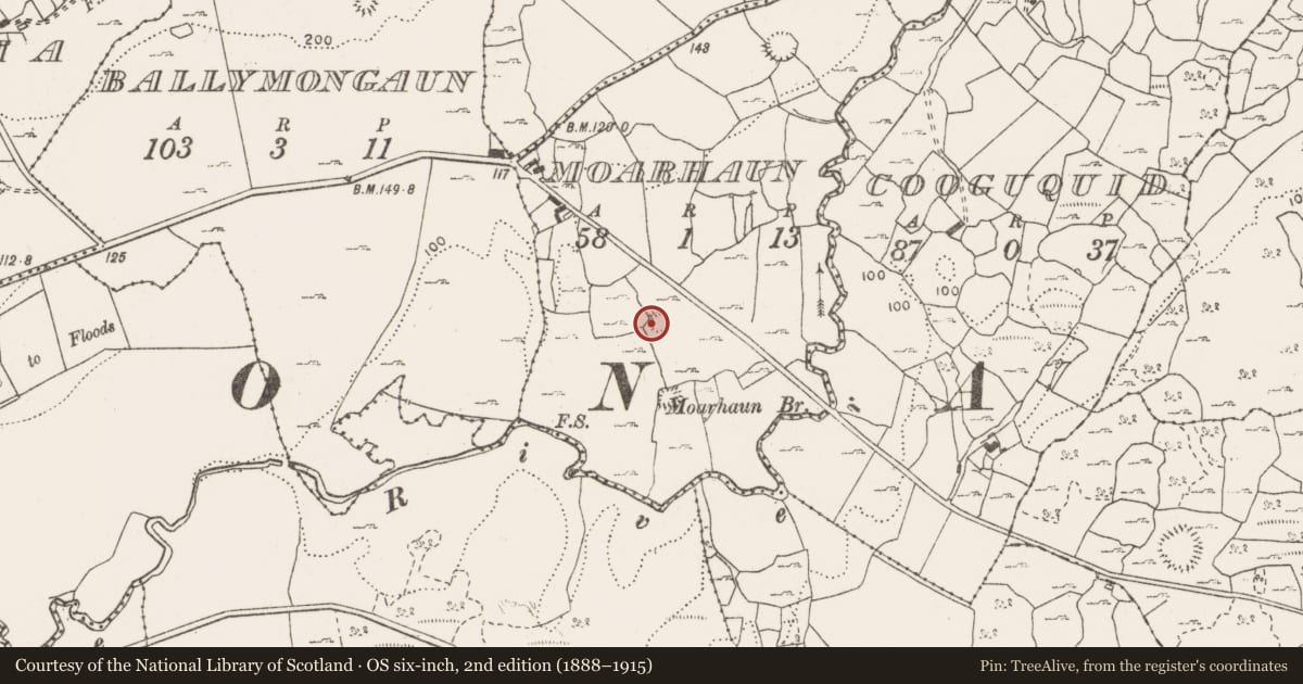Ordnance Survey six-inch map, 2nd edition (1888–1915) covering the location of Earthwork, Moarhaun, County Clare, with a pin at the register's coordinates