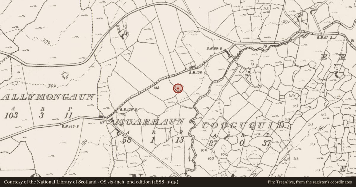 Ordnance Survey six-inch map, 2nd edition (1888–1915) covering the location of Ringfort - unclassified, Moarhaun, County Clare, with a pin at the register's coordinates