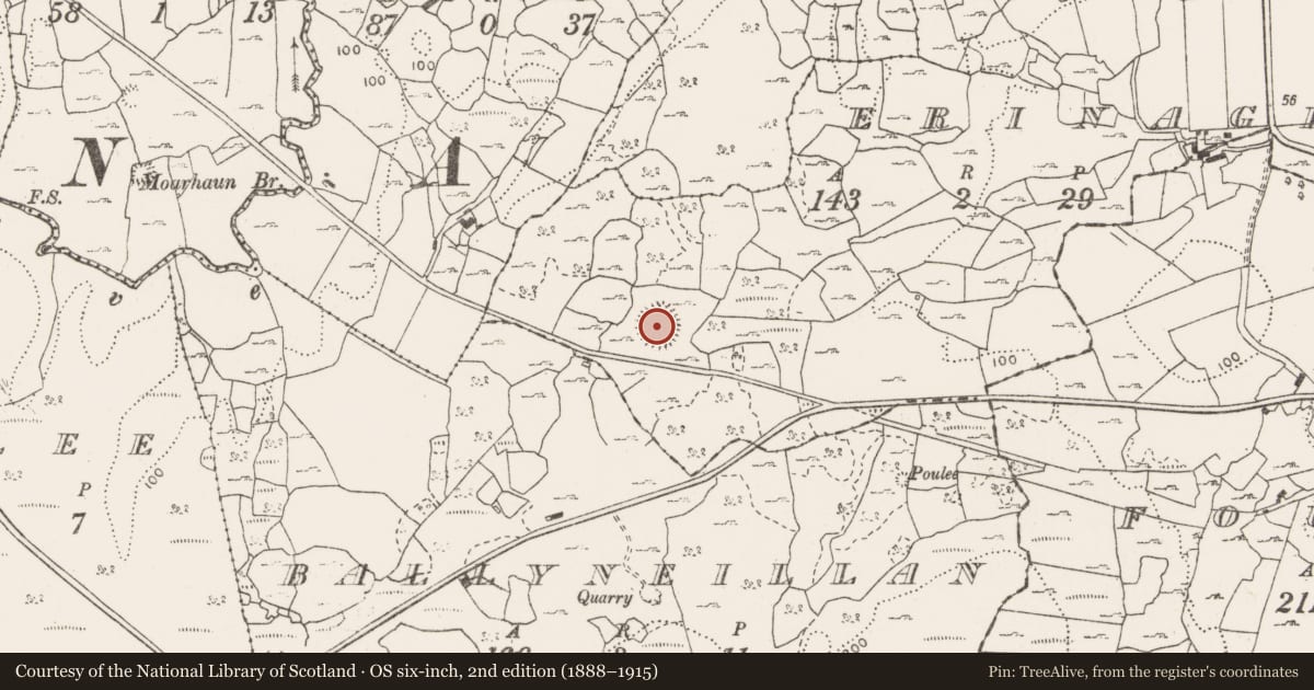 Ordnance Survey six-inch map, 2nd edition (1888–1915) covering the location of Ringfort - cashel, Erinagh Beg, County Clare, with a pin at the register's coordinates