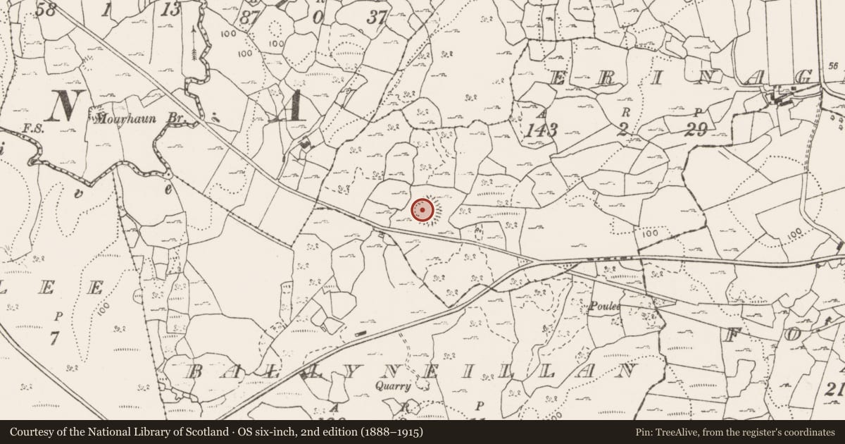 Ordnance Survey six-inch map, 2nd edition (1888–1915) covering the location of Hut site, Erinagh Beg, County Clare, with a pin at the register's coordinates