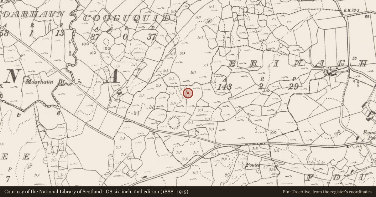 Ordnance Survey six-inch map, 2nd edition (1888–1915) covering the location of Enclosure, Erinagh Beg, County Clare, with a pin at the register's coordinates