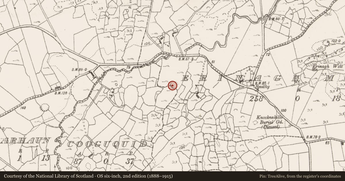 Ordnance Survey six-inch map, 2nd edition (1888–1915) covering the location of Ringfort - cashel, Cooguquid, Erinagh More, County Clare, with a pin at the register's coordinates