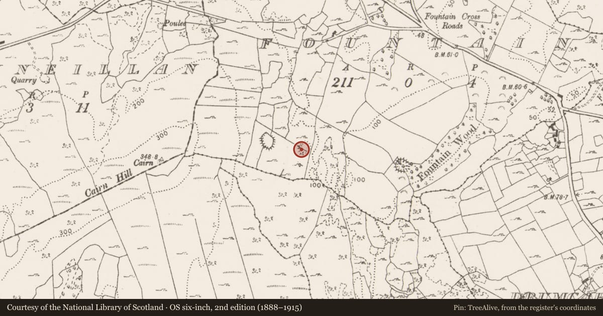 Ordnance Survey six-inch map, 2nd edition (1888–1915) covering the location of Ringfort - cashel, Fountain, County Clare, with a pin at the register's coordinates
