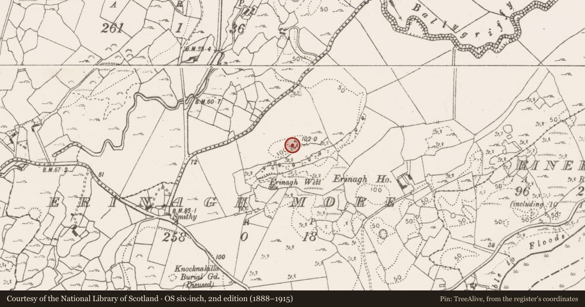 Ordnance Survey six-inch map, 2nd edition (1888–1915) covering the location of Ringfort - unclassified, Erinagh More, County Clare, with a pin at the register's coordinates