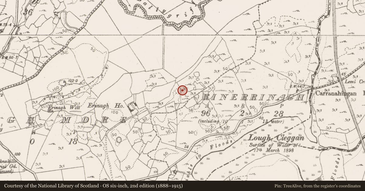 Ordnance Survey six-inch map, 2nd edition (1888–1915) covering the location of Ringfort - cashel, Erinagh More, County Clare, with a pin at the register's coordinates