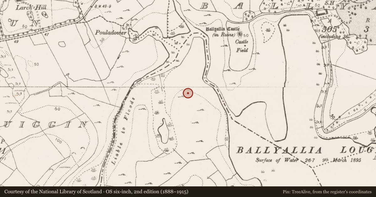 Ordnance Survey six-inch map, 2nd edition (1888–1915) covering the location of Crannog, Drumcliff, County Clare, with a pin at the register's coordinates