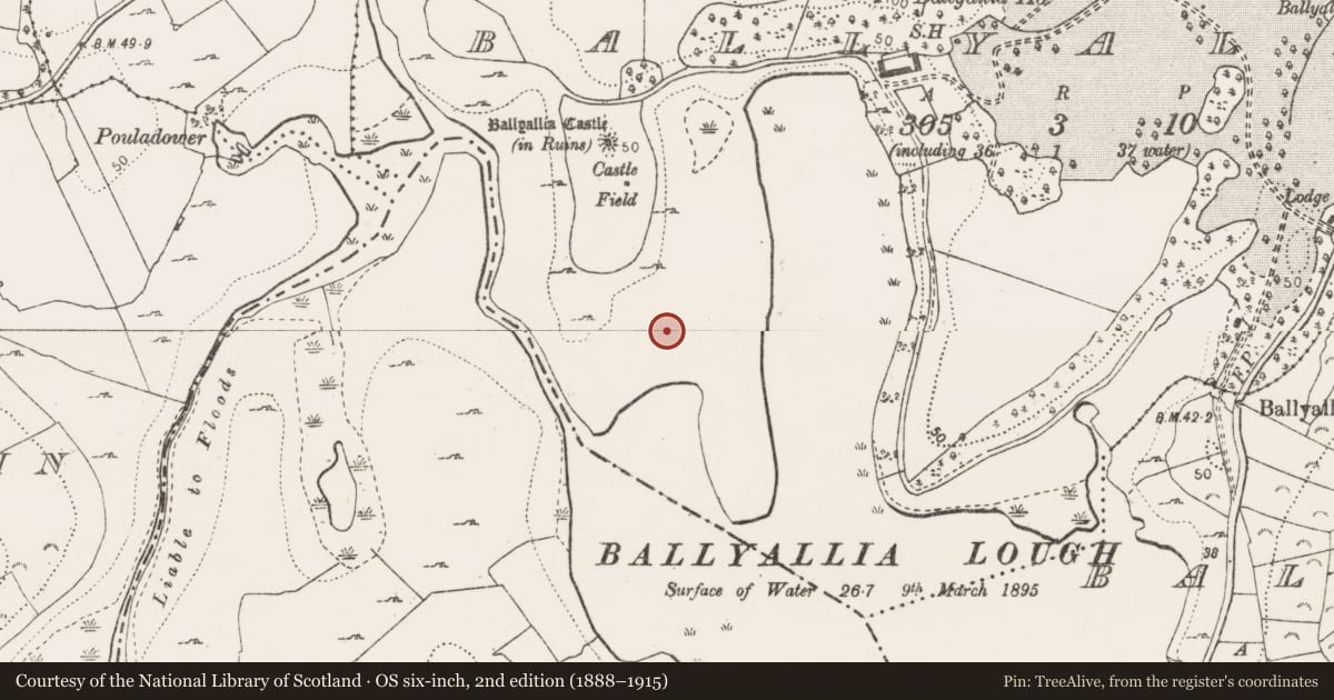 Ordnance Survey six-inch map, 2nd edition (1888–1915) covering the location of Crannog, Ballyallia, County Clare, with a pin at the register's coordinates