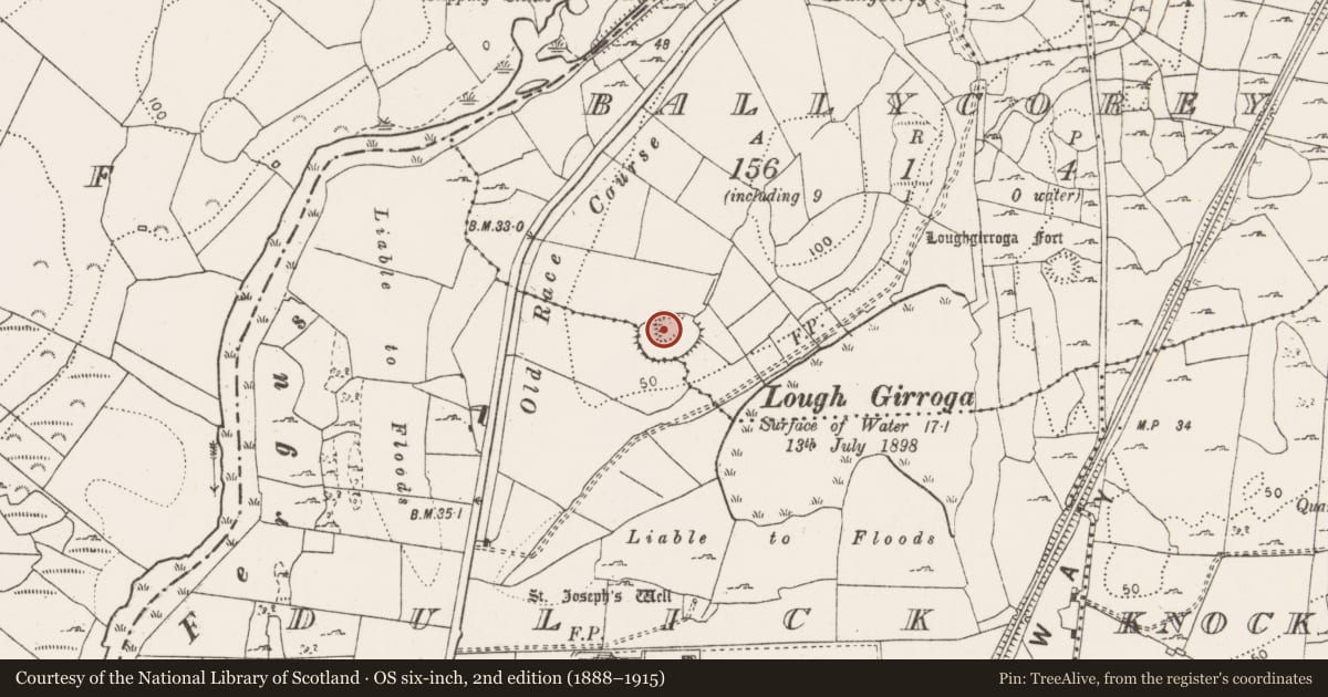 Ordnance Survey six-inch map, 2nd edition (1888–1915) covering the location of Enclosure, Ballycorey, Dulick, County Clare, with a pin at the register's coordinates