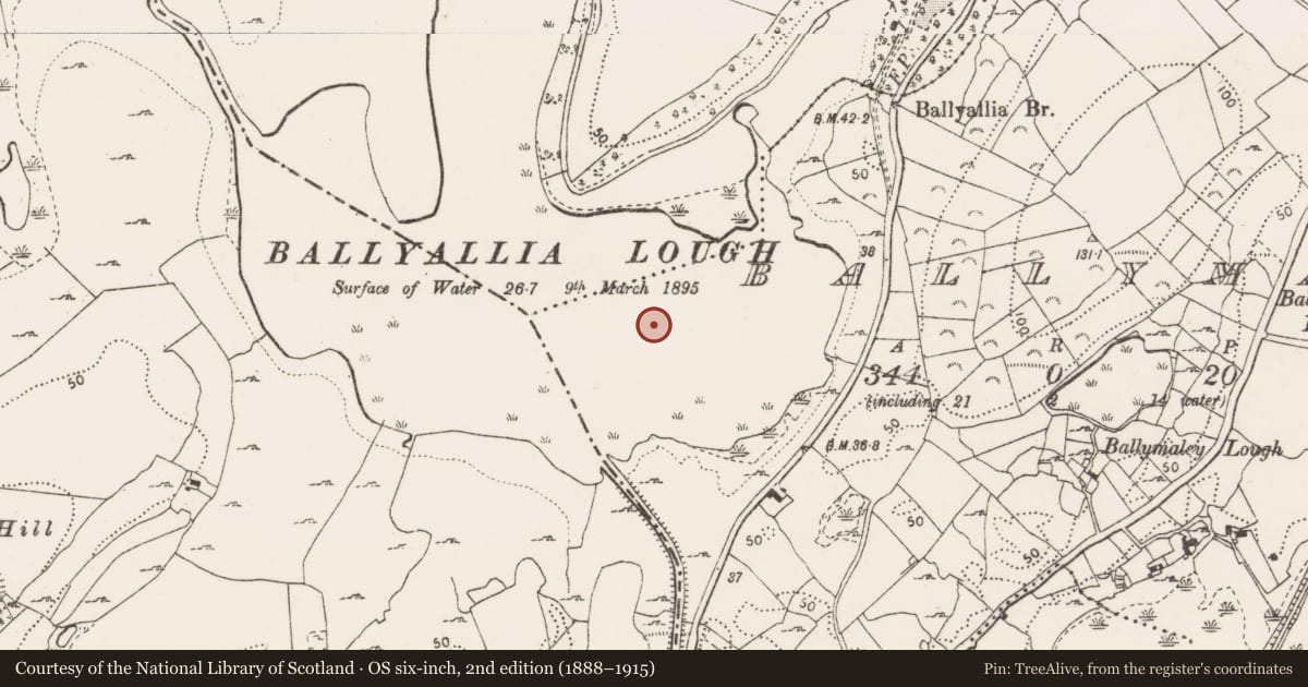 Ordnance Survey six-inch map, 2nd edition (1888–1915) covering the location of Crannog, Ballymaley, County Clare, with a pin at the register's coordinates