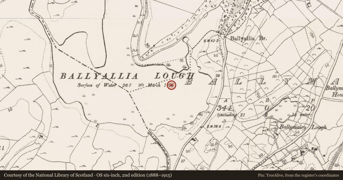 Ordnance Survey six-inch map, 2nd edition (1888–1915) covering the location of Causeway, Ballymaley, County Clare, with a pin at the register's coordinates