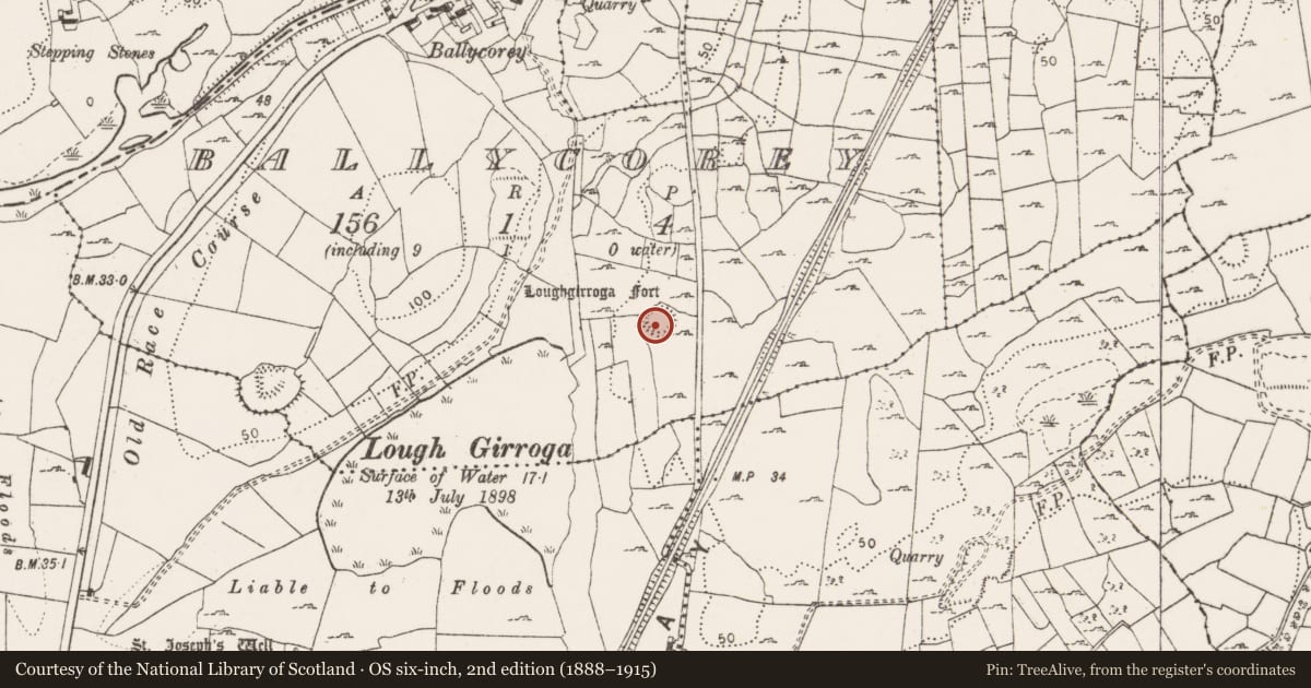 Ordnance Survey six-inch map, 2nd edition (1888–1915) covering the location of Ringfort - cashel, Ballycorey, County Clare, with a pin at the register's coordinates