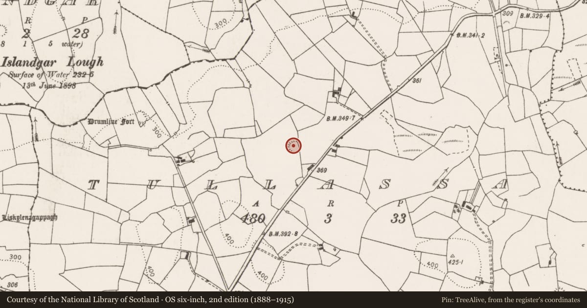 Ordnance Survey six-inch map, 2nd edition (1888–1915) covering the location of Ringfort - rath, Tullassa, County Clare, with a pin at the register's coordinates