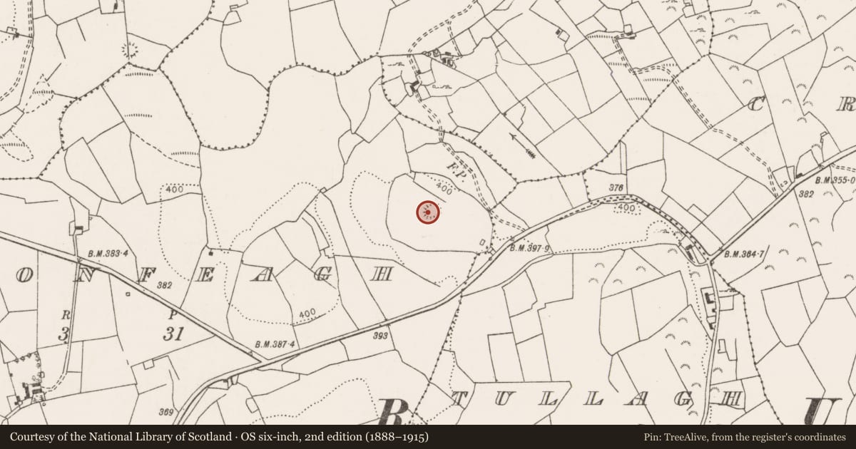 Ordnance Survey six-inch map, 2nd edition (1888–1915) covering the location of Hut site, Cloonfeagh, County Clare, with a pin at the register's coordinates