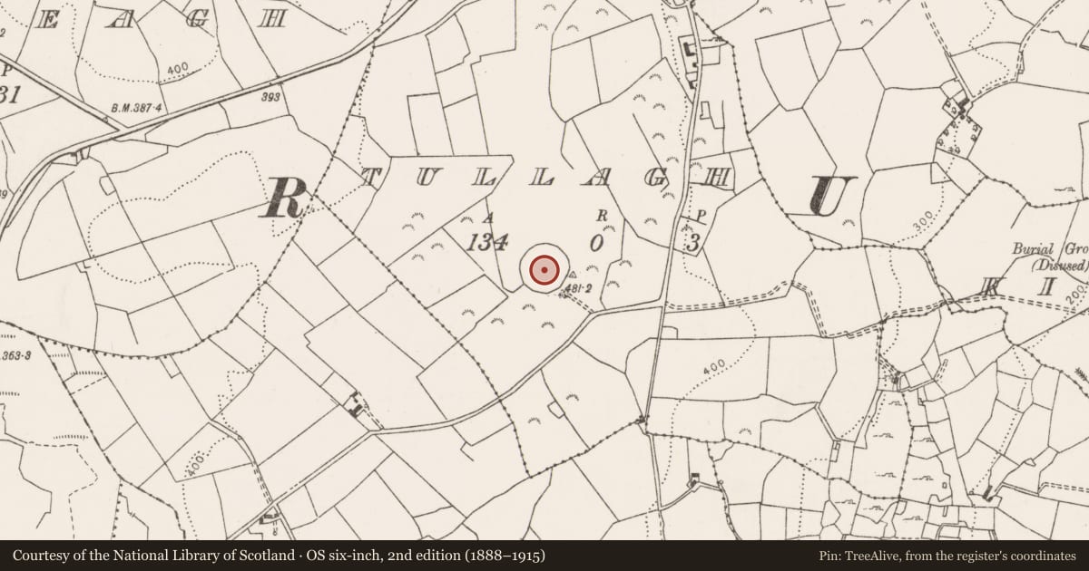 Ordnance Survey six-inch map, 2nd edition (1888–1915) covering the location of Enclosure, Tullagh, County Clare, with a pin at the register's coordinates