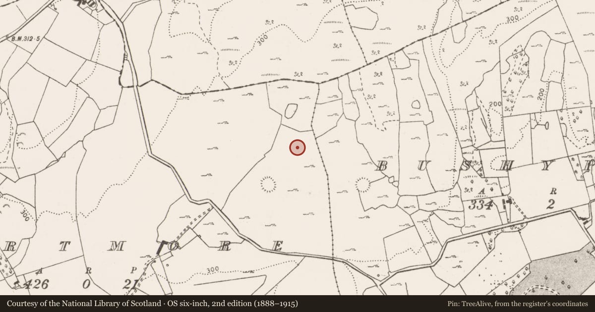 Ordnance Survey six-inch map, 2nd edition (1888–1915) covering the location of Headstone, Gortmore, County Clare, with a pin at the register's coordinates
