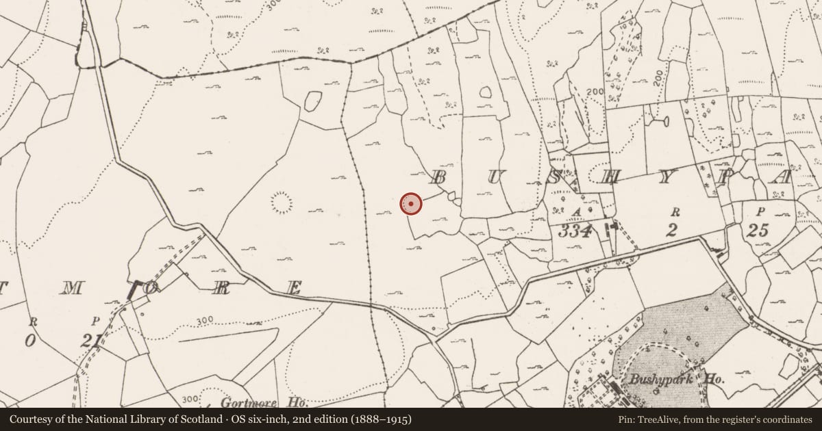 Ordnance Survey six-inch map, 2nd edition (1888–1915) covering the location of Ringfort - cashel, Bushypark, County Clare, with a pin at the register's coordinates