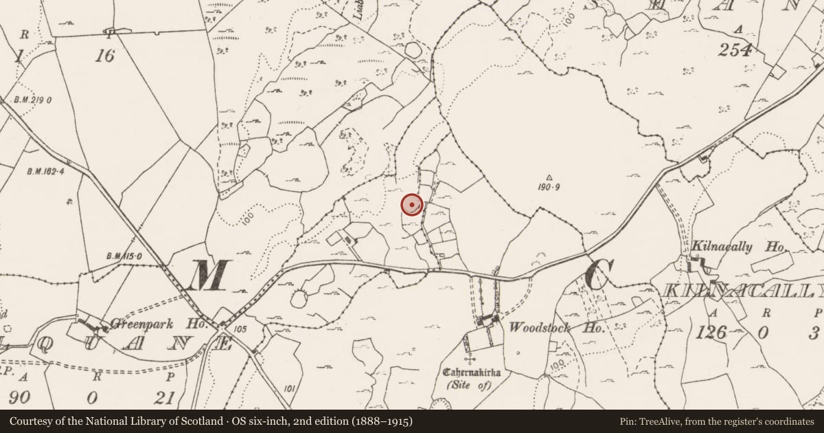 Ordnance Survey six-inch map, 2nd edition (1888–1915) covering the location of Ringfort - cashel, Ballylannidy, Kilquane, County Clare, with a pin at the register's coordinates