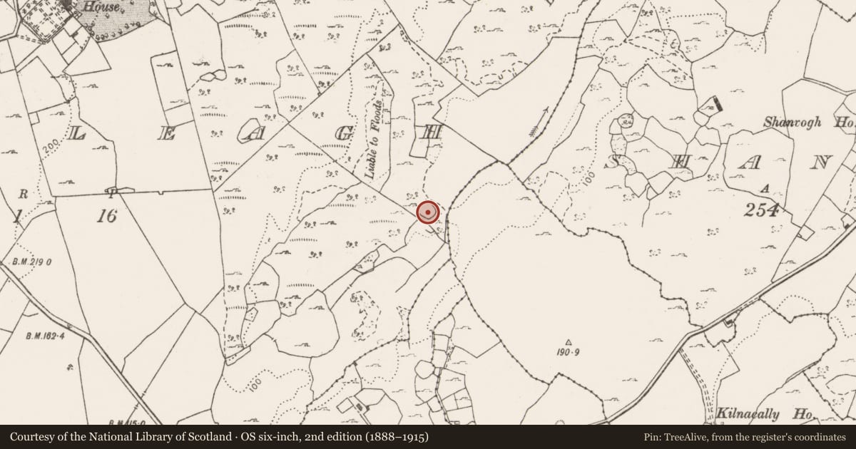 Ordnance Survey six-inch map, 2nd edition (1888–1915) covering the location of Enclosure, Cragleagh, County Clare, with a pin at the register's coordinates