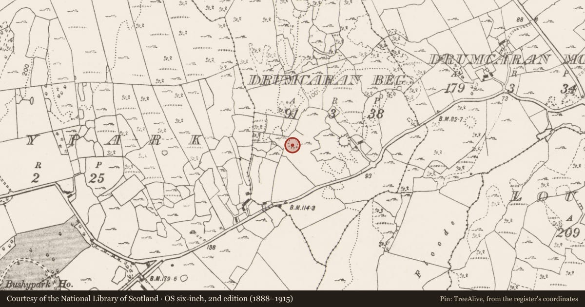 Ordnance Survey six-inch map, 2nd edition (1888–1915) covering the location of Ringfort - cashel, Drumcaran Beg, County Clare, with a pin at the register's coordinates