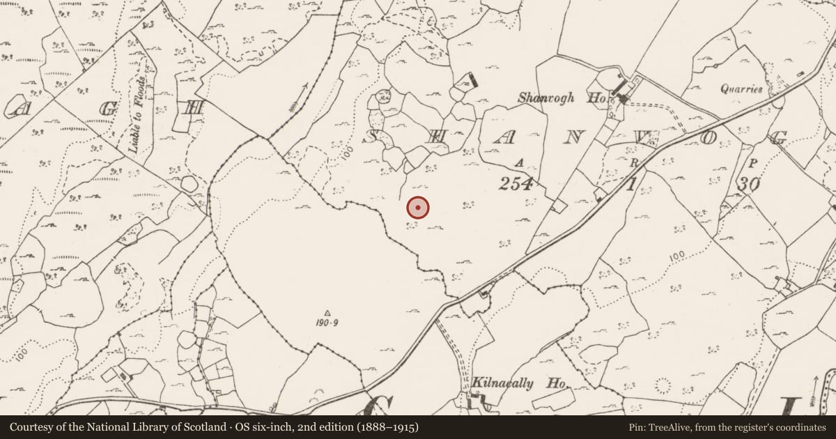 Ordnance Survey six-inch map, 2nd edition (1888–1915) covering the location of Ringfort - rath, Shanvogh, County Clare, with a pin at the register's coordinates