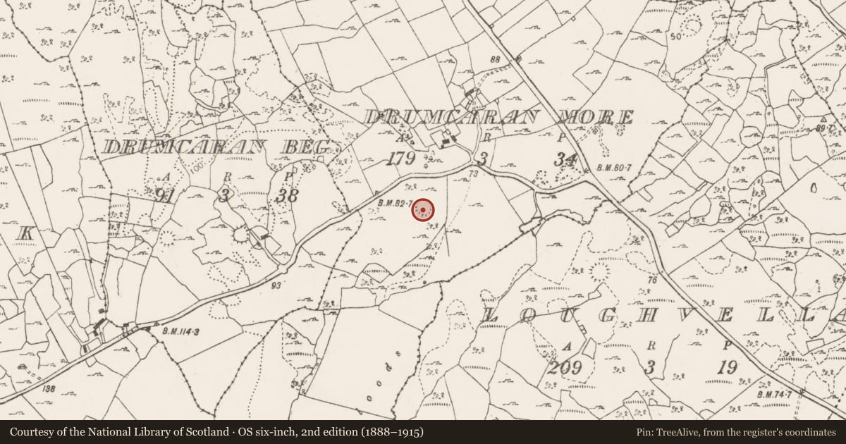 Ordnance Survey six-inch map, 2nd edition (1888–1915) covering the location of Earthwork, Drumcaran More, County Clare, with a pin at the register's coordinates
