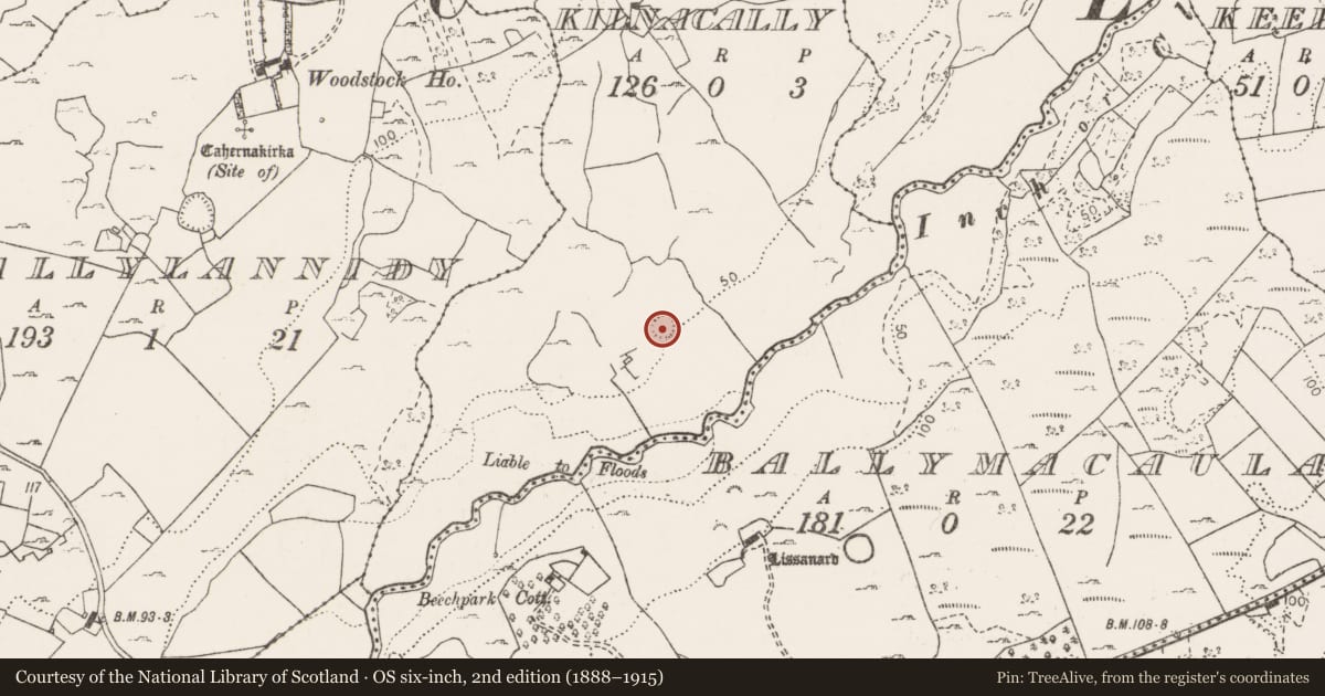 Ordnance Survey six-inch map, 2nd edition (1888–1915) covering the location of Ringfort - cashel, Kilnacally, County Clare, with a pin at the register's coordinates