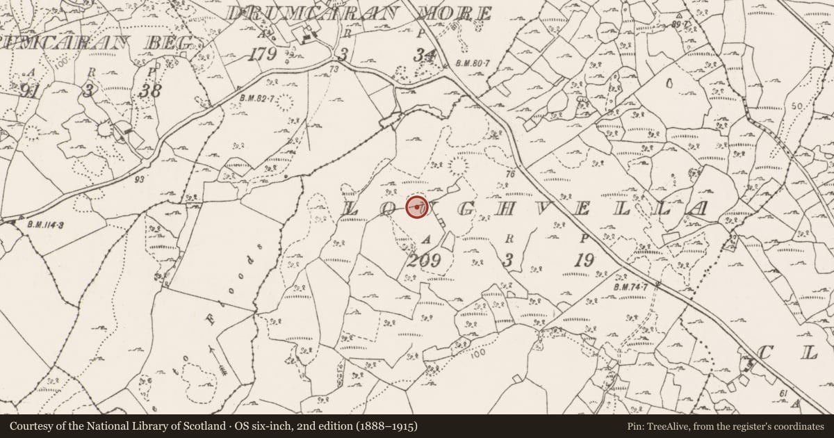 Ordnance Survey six-inch map, 2nd edition (1888–1915) covering the location of Ringfort - rath, Loughvella, County Clare, with a pin at the register's coordinates