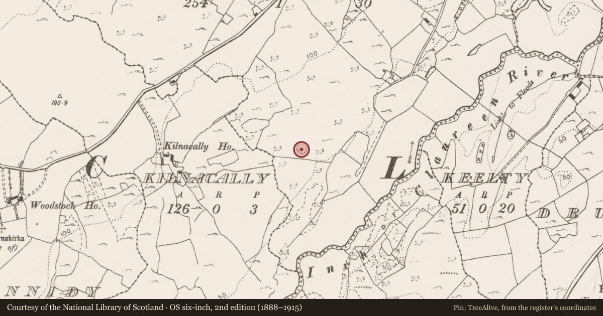 Ordnance Survey six-inch map, 2nd edition (1888–1915) covering the location of Enclosure, Shanvogh, County Clare, with a pin at the register's coordinates