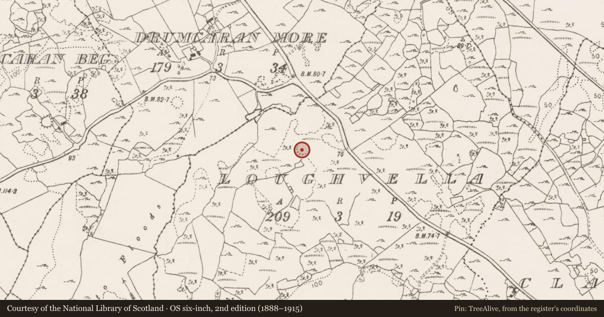 Ordnance Survey six-inch map, 2nd edition (1888–1915) covering the location of Ringfort - cashel, Loughvella, County Clare, with a pin at the register's coordinates