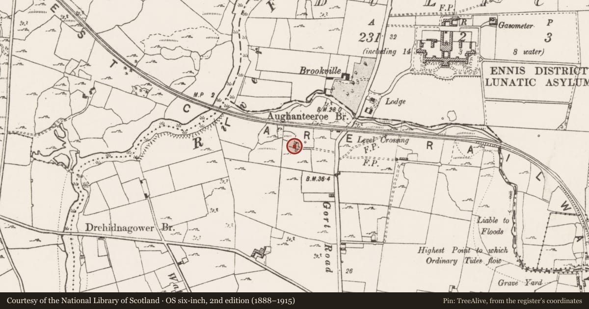 Ordnance Survey six-inch map, 2nd edition (1888–1915) covering the location of Ringfort - cashel, Lifford, County Clare, with a pin at the register's coordinates